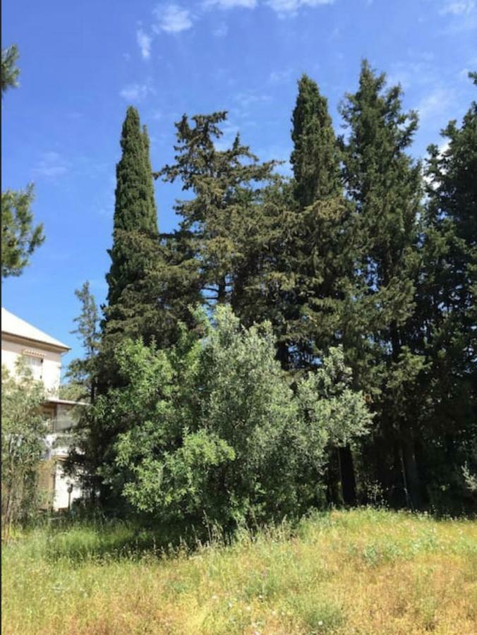 Villa Salomi Lefkada City ภายนอก รูปภาพ